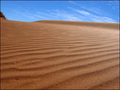 Vous vous échouez sur une île déserte, et la première chose que vous voyez, c'est le sable.En parlant de celui-ci, de quoi est-il principalement composé ?