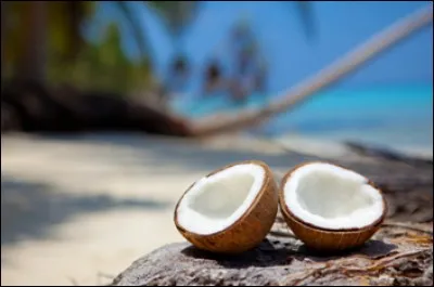 Vous aurez sans doute faim en arrivant.
Une noix de coco vous redonnera des forces, car elle contient environ 14 g de...