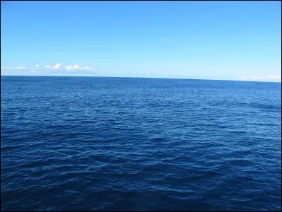 Si vous avez soif, ne buvez surtout pas l'eau de mer pure, car elle contient du...