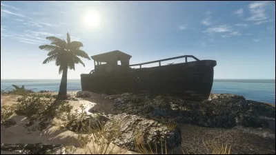 Vous trouvez dans une épave, sur la côte de votre île, une fusée éclairante et une boîte de conserve neuve périmée depuis plusieurs années.
La mangez-vous ?