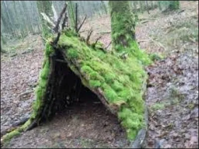 La nuit tombe et vous devez construire un abri de survie.
Sur les trois choix possibles, quel est le meilleur lieu pour le fabriquer ?