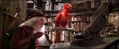 Comment s'appelle le phénix de Dumbeldore ?
