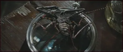 Quel est le sort qui permet de torturer ?