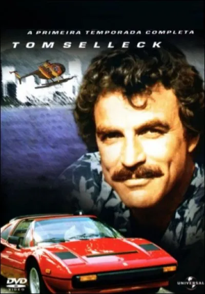 Quelle est cette série ?