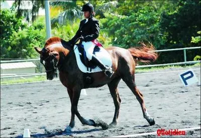 Laquelle de ces propositions n'est pas une activit questre ?