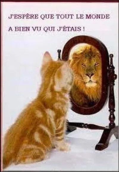 Eeeegillmnorstuu (o____________t)