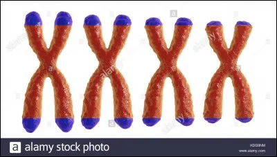 Accceeimnorrsstu (r_____________t)