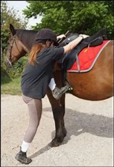 Quels galops as-tu ?