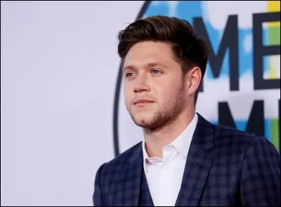 Connais tu Niall ? 
Où et quand est il né, quelles sont ses origines, quelle taille fait-il, et de quoi a-t-il peur ?