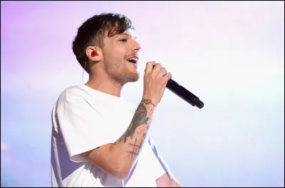 Connais tu Louis? 
Où et quand est il né, quelles sont ses origines, quelle taille fait-il, et de quoi a-t-il peur ?