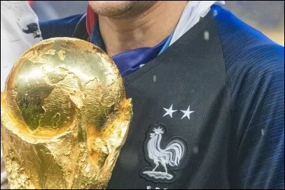 Quels ont été les meilleurs buteurs français ?