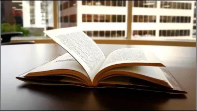 J'ai __ renoncer au défi qu'il m'a lancé.