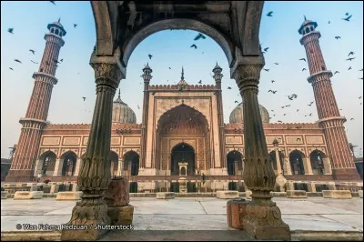 La reconnaissez-vous ?