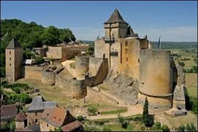 Le château de Castelnaud se situe en Dordogne.