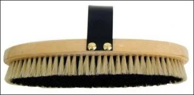 Quelle est cette brosse ?