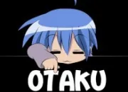 Quiz Un otaku sommeille-t-il en toi ? #1