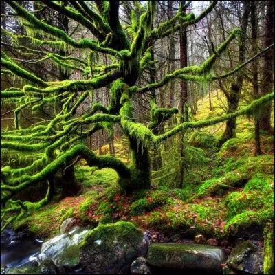 Si un(e) apprenti(e) te change mal ta litière que dis-tu ?