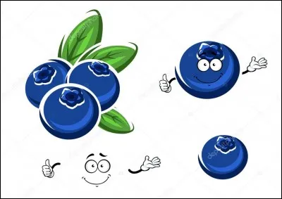 Comment est la cornouille ?