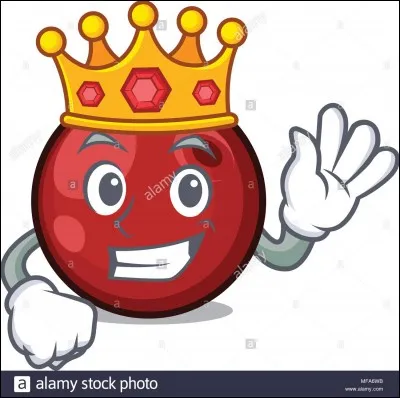 De quelle couleur sont les baies de houx ?