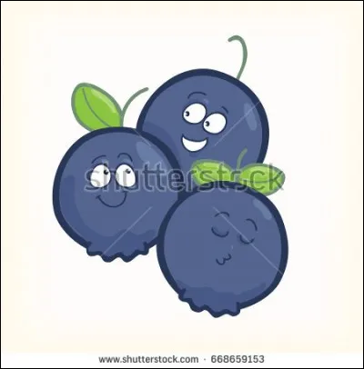 Quand il n'est pas noir, de quelle couleur est le sureau ?