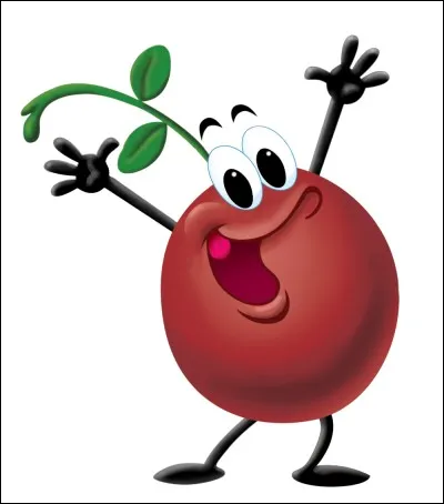 De quelle couleur est la canneberge ?