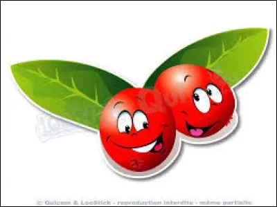 Quelle est la couleur de la baie du genévrier ?