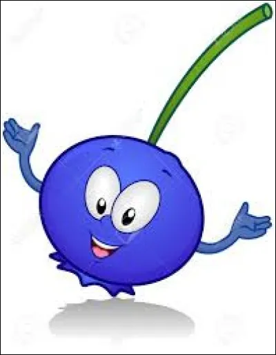 Quelle couleur porte la baie de Goji ?