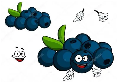 Quelle couleur revêt la parisette ?