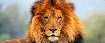 Le lion, symbole de royauté et de suprématie, est un animal souvent représenté comme féroce et puissant. Quelle marque a utilisé un lion comme logo ?