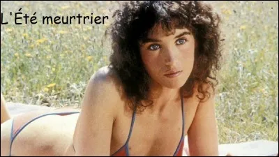 Quel chanteur joue le rôle de 'Pin Pon' dans 'L'Été meurtrier' ?