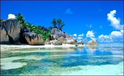 D'où les îles Canaries tirent-elles leur nom ?