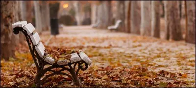 Quelle est la bonne réponse ?