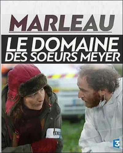 Quelle est cette série ?