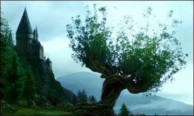 Tu as du temps libre dans le ch&acirc;teau, que fais-tu ?