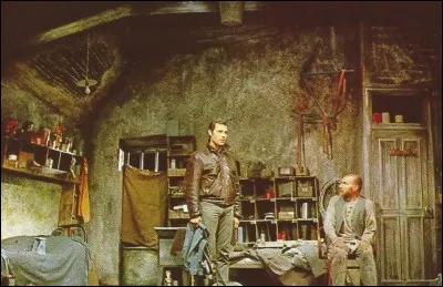 Quelle est cette pièce du dramaturge anglais "Harold Pinter" où deux frères, Mick et Atson accueillent un vagabond, Davies ?