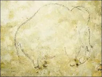 Lequel de ces dispositifs naturels permettait aux rhinocéros laineux de ne pas tomber malades ?