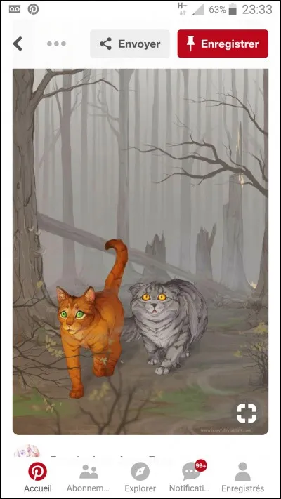 Qui est son (sa) meilleur ami(e) ?