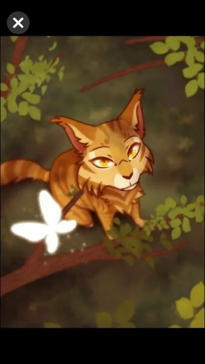 Et pour finir , qui ne lui a pas donné de vie quand Étoile de Feu est devenu chef ?