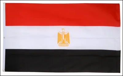 Comment se nomme le Président de l'Egypte ?