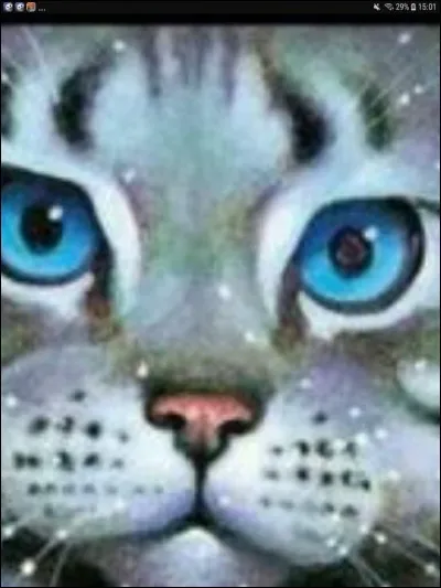 Je suis la fille du mentor de la soeur de la mère de Rivière d'Argent. Qui suis-je ?