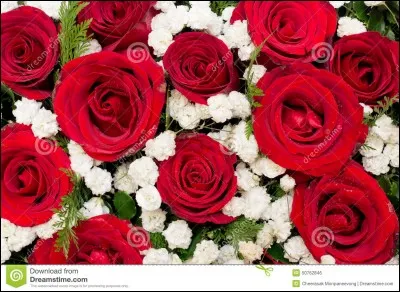 Son père a-t-il une nouvelle compagne ? Si oui, quel est son prénom ?