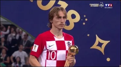 Quel est le seul gardien élu meilleur joueur ?