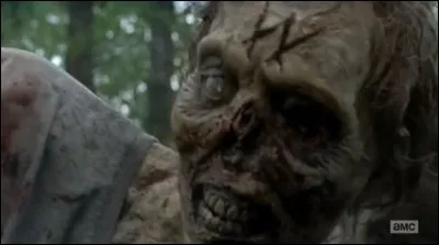 Que signifie le sigle "W" ?