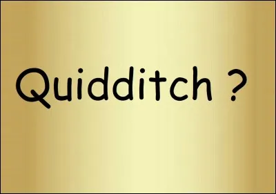 Qu'est-ce que le 'quidditch' ?