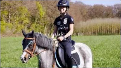 Comment s'appelle le poney dans "Deux cur de poney" ?