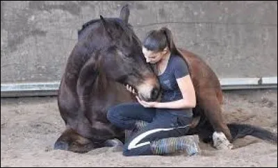 Comment s'appelle le cheval dans " et Capucine" ?