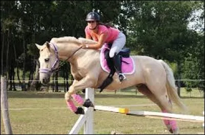 Comment s'appelle le cheval de "Rêve compulsif" ?