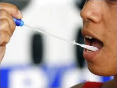 Quelle est la proportion d'eau dans la salive ?