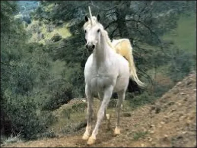 Où a-t-on retrouvé un crâne de licorne ?