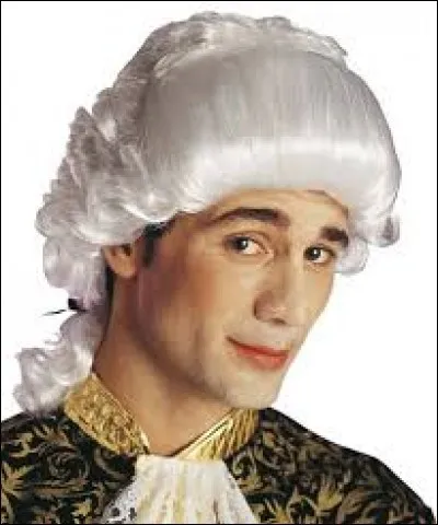 Quel roi de France a remis la perruque à la mode ?